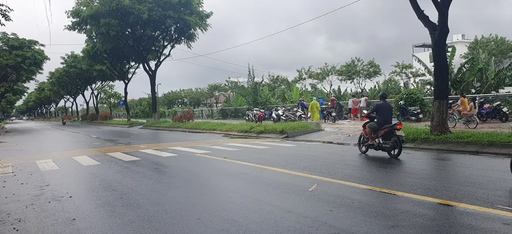 Người dân thi nhau bắt cá dọc tuyến đường Thăng Long (quận Cẩm Lệ, TP Đà Nẵng). Ảnh: XUÂN QUỲNH Người dân thi nhau bắt cá dọc tuyến đường Thăng Long (quận Cẩm Lệ, TP Đà Nẵng). Ảnh: XUÂN QUỲNH