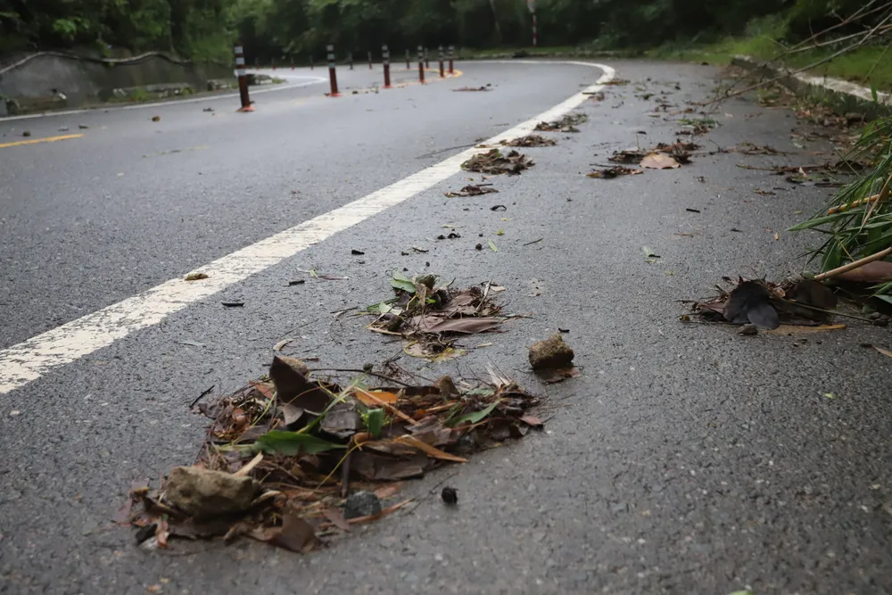 Đá vụn ở khắp nơi Đá vụn ở khắp nơi