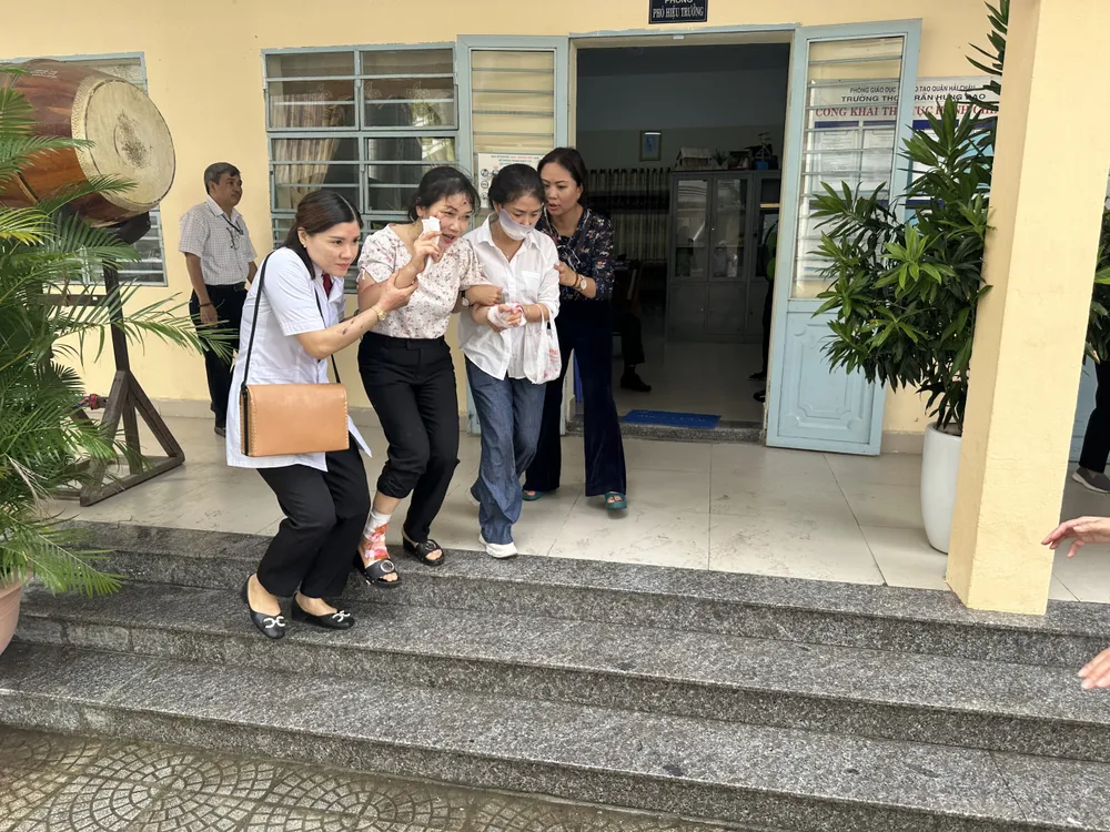 Tổ chức cứu hộ cho những trường hợp bị thương Tổ chức cứu hộ cho những trường hợp bị thương