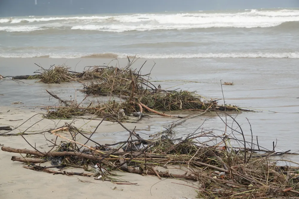 Sóng tấp rác vào trong bờ. Ảnh: XUÂN QUỲNH Sóng tấp rác vào trong bờ. Ảnh: XUÂN QUỲNH