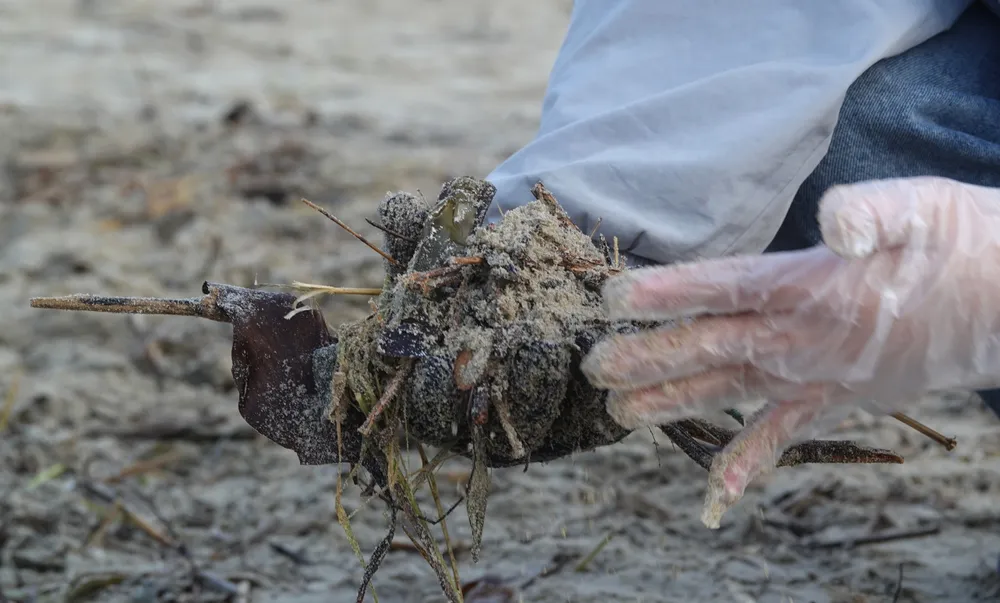 Một số đoàn viên chuẩn bị bao tay, phương tiện để dọn vệ sinh. Ảnh: XUÂN QUỲNH Một số đoàn viên chuẩn bị bao tay, phương tiện để dọn vệ sinh. Ảnh: XUÂN QUỲNH