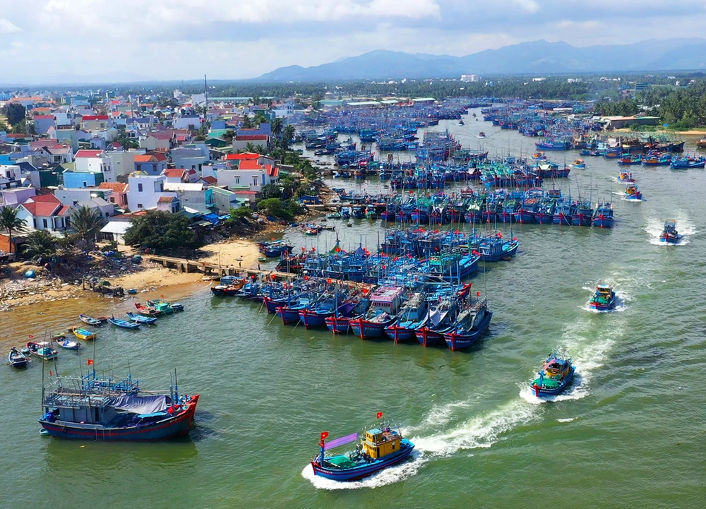 Tàu cá ngư dân Hoài Nhơn (Bình Định) nối nhau vươn khơi, cam kết không vi phạm IUU. Ảnh: XUÂN HUYÊN