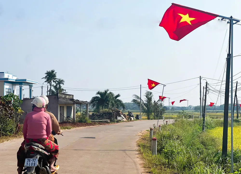 Anh 1-5 la co xa Binh Tan Phu 2 (1 of 1) (1).jpg