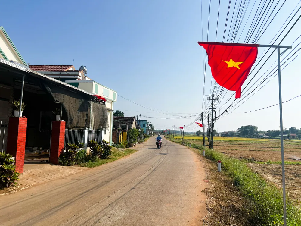 Anh 1-5 la co xa Binh Tan Phu 2 (1 of 1) (5).jpg