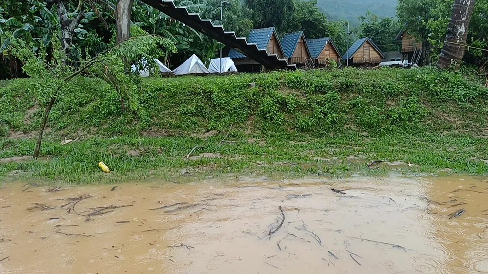 Một số điểm du lịch cộng đồng tại xã Hoà Bắc (huyện Hòa Vang) bị hư hại nặng do nước cuốn trôi. Ảnh: XUÂN QUỲNH IMG20250613125835_01.jpg