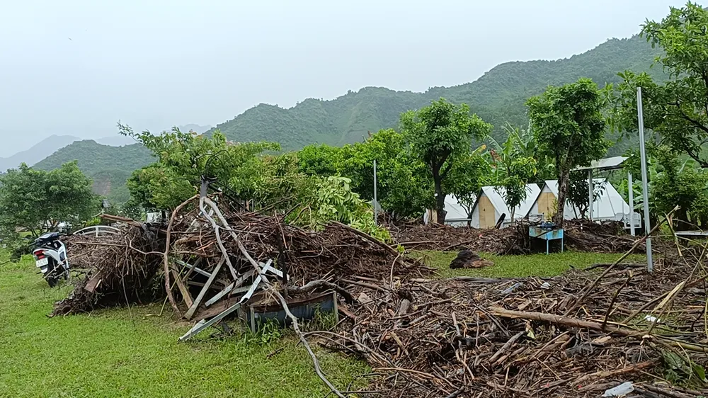 Ảnh: XUÂN QUỲNH IMG20250613131731_01.jpg