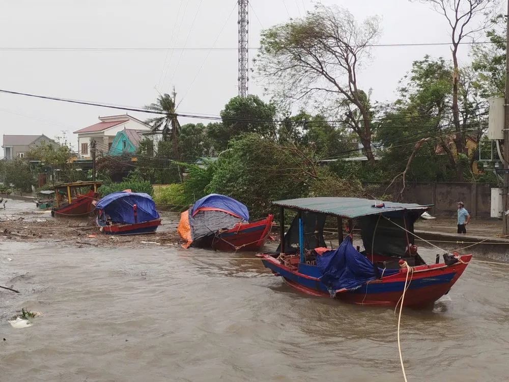 Ảnh: DUY CƯỜNG z7060783432147_5ea0a20a9aa0d7455d64acb9fd65761f.jpg