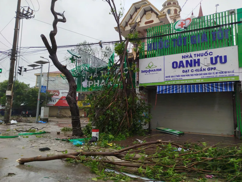 Ảnh: DUY CƯỜNG z7060783510901_aac2afea90c30e375e655f08d6bc539a.jpg