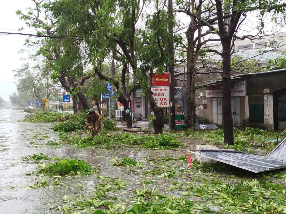 Ảnh: DUY CƯỜNG z7060783525394_6973e6d5601ccdfa7afff7638dc45d2c.jpg