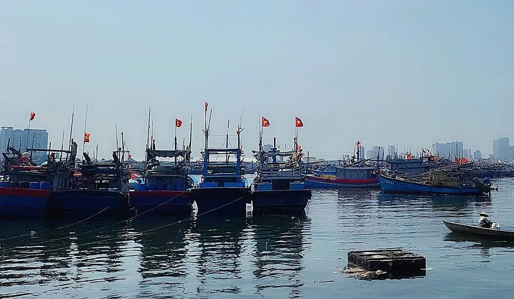 Hàng ngàn tàu cá neo đậu tại cảng Thọ Quang. Ảnh: XUÂN QUỲNH z7140322393499_d761a16b8513107545125f2454515d64.jpg