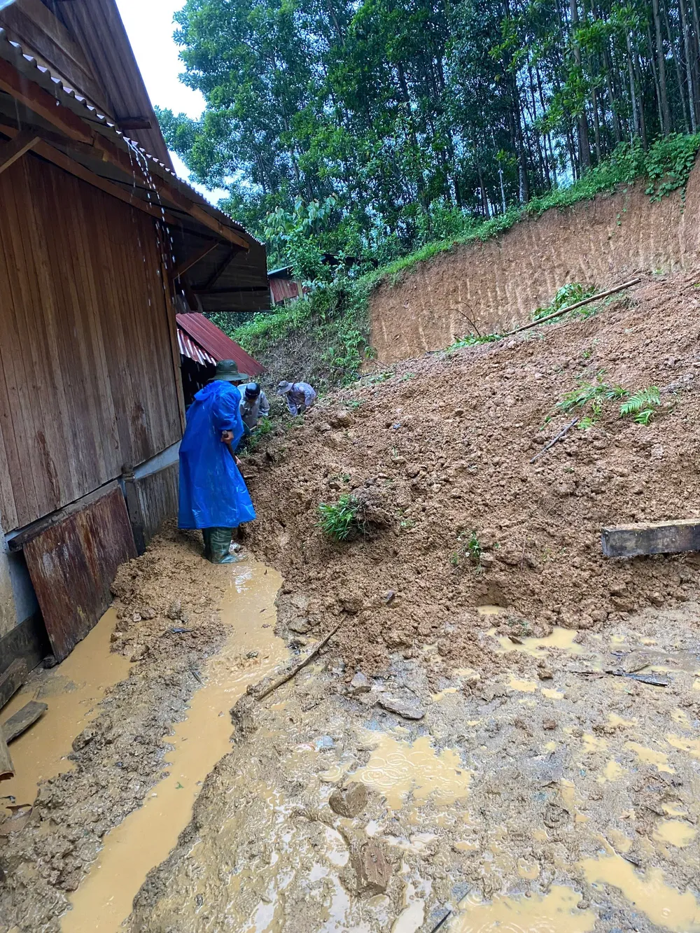 Lực lượng chức năng khắc phục hậu quả do đất lở tràn vào nhà dân tại thôn Đắc Pênh z7160359342884_f798e946cb0f407616cc7c6771fd4721.jpg