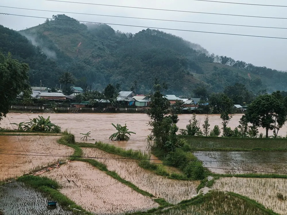 A Vuong commune area at 12 o'clock z7168341327535_675c18aa89d4c77022c55af1bc80c386.jpg