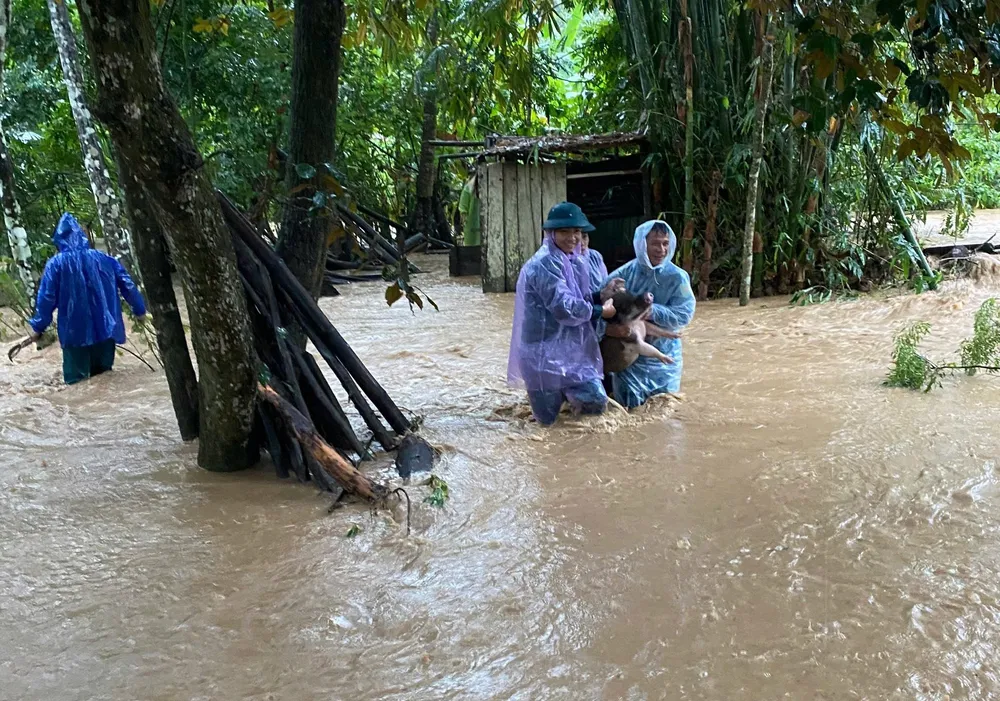 Authorities moved property and livestock to support people. Photo: BUI THE ANH z7168351171977_08fcc1f8548022c2e54d8dabda9a0bbd.jpg