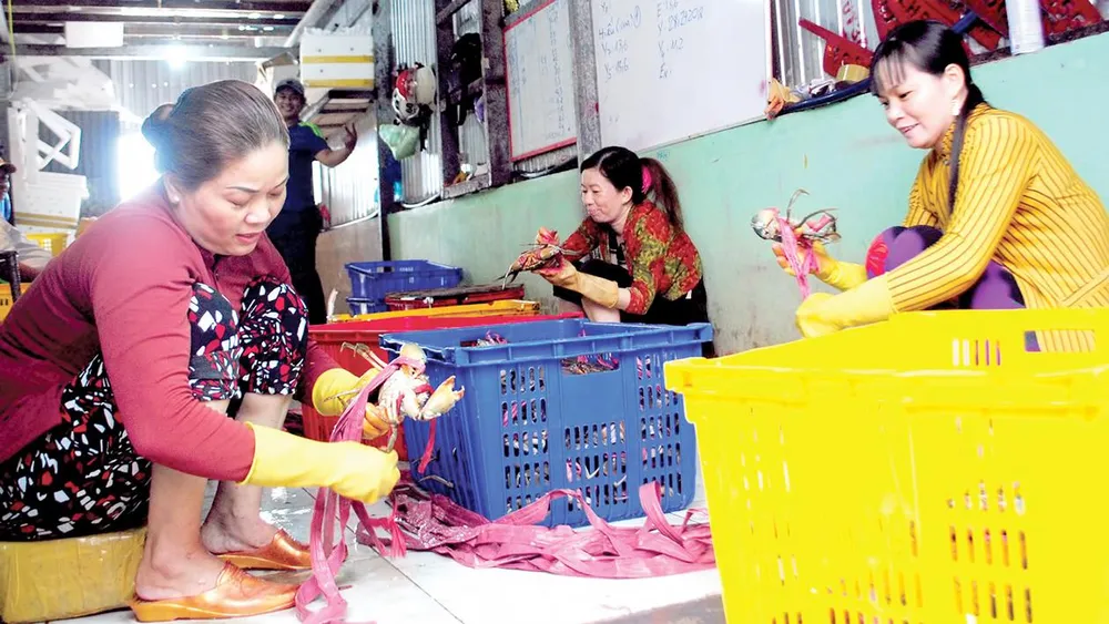 Cua Năm Căn - Cà Mau bị xâm phạm nhãn hiệu ảnh 1 Cua Năm Căn - Cà Mau bị xâm phạm nhãn hiệu ảnh 1