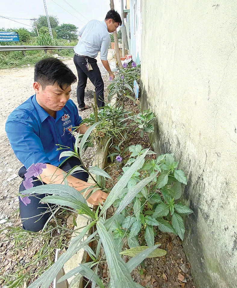 Xanh hóa điểm đen ảnh 2