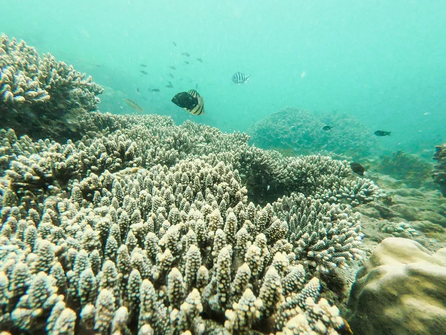 Đảo Ngọc Phú Quốc – Thiên đường có thực cho những kẻ say đắm hoàng hôn ảnh 6