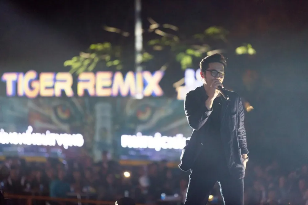 Mỹ Tâm, Đen Vâu, Hoàng Thùy Linh "đốt cháy" sân khấu Tiger Remix với toàn bản hit Remix   ảnh 7
