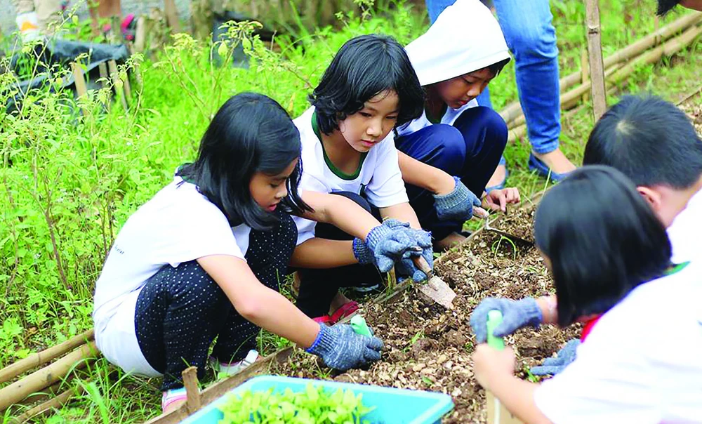 Lớp học ở vườn ảnh 2 Lớp học ở vườn ảnh 2