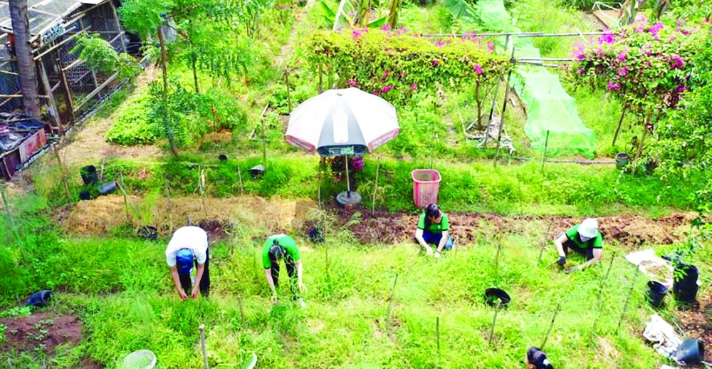 Lớp học ở vườn ảnh 1 Lớp học ở vườn ảnh 1