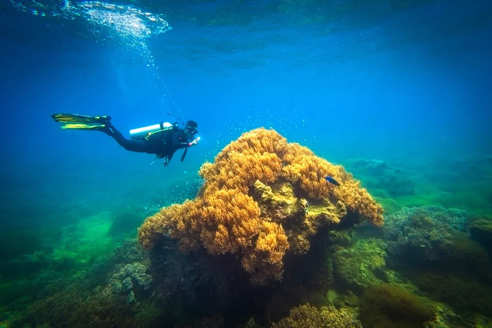 Âm sắc cuộc sống ảnh 4