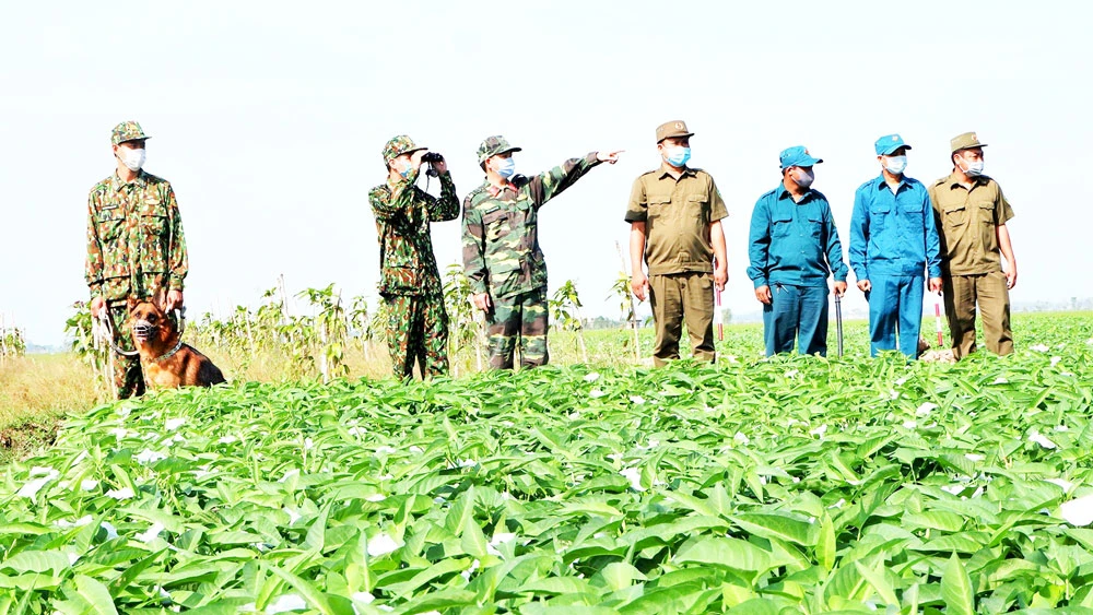 Tăng cường tuần tra kiểm soát chặt người qua lại tuyến biên giới An Giang từ nay đến Tết Tân Sửu