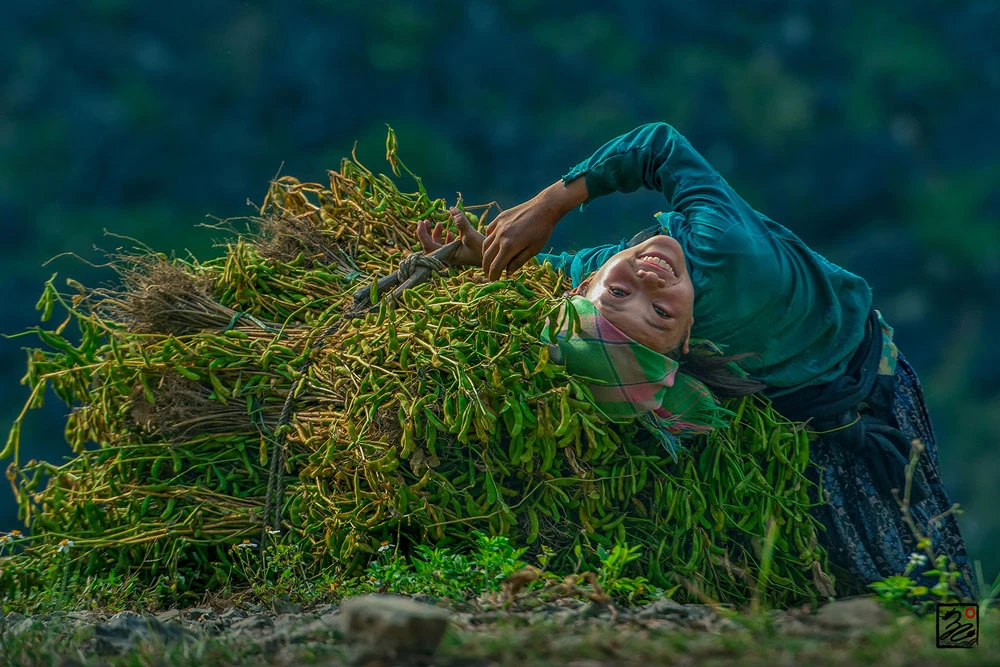 Việt Nam muôn màu ảnh 6 Việt Nam muôn màu ảnh 6
