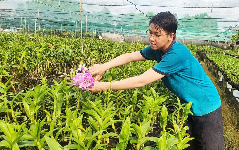 Thạc sĩ Nguyễn Văn Thạnh (ngụ xã Bình Chánh, huyện Bình Chánh) trở về nhà phát triển nông nghiệp