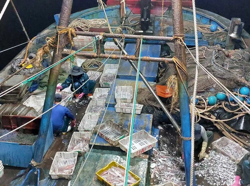 Nhộn nhịp làng biển ảnh 6