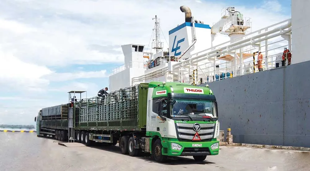 Thilogi cung ứng dịch vụ vận chuyển gia súc chuyên nghiệp ảnh 2
