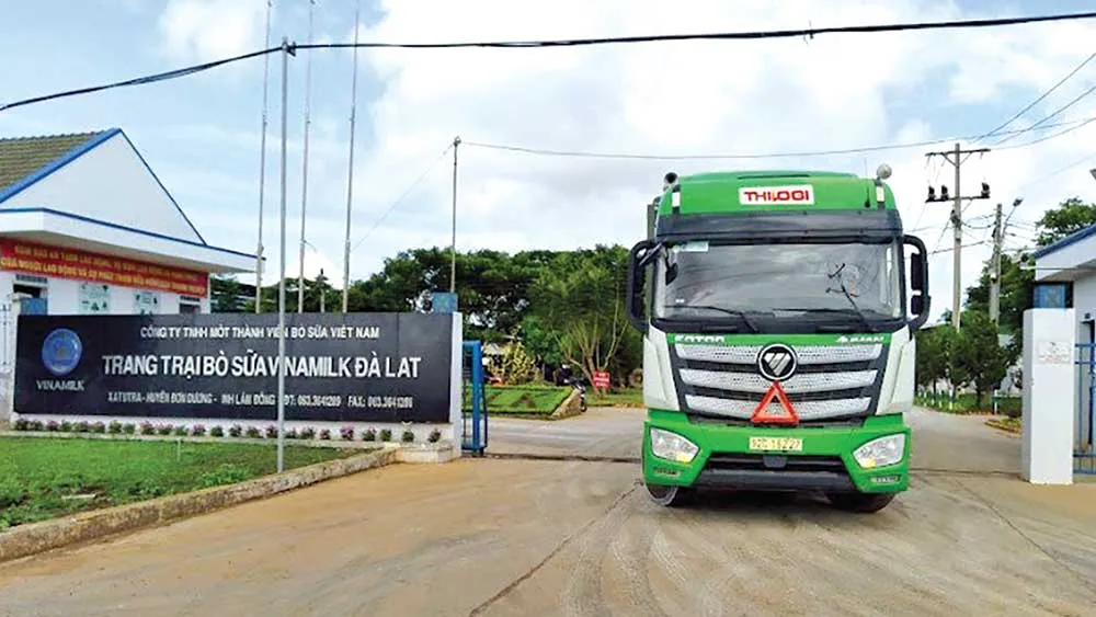 Thilogi cung ứng dịch vụ vận chuyển gia súc chuyên nghiệp ảnh 4