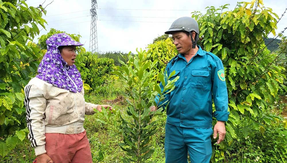 Chị Y Mến (trái), ở xã Đắk Ruồng, huyện Kon Rẫy, tỉnh Kon Tum thoát nghèo nhờ trồng cà phê, mắc ca