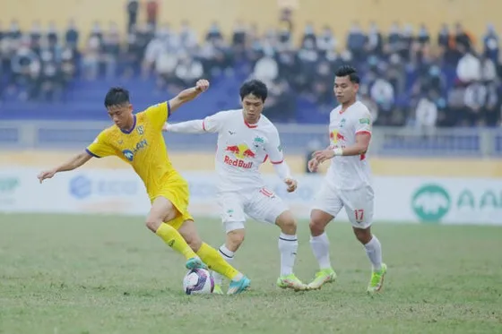 Bài học trưởng thành