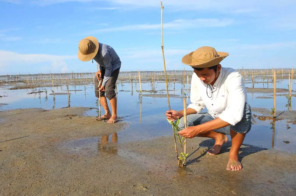 Mê hoặc Rú Chá ảnh 4 Mê hoặc Rú Chá ảnh 4
