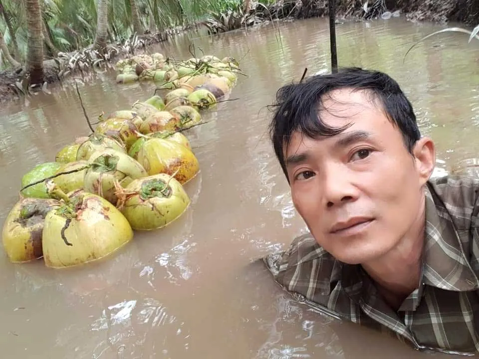 Giá trị của cây dừa ảnh 3