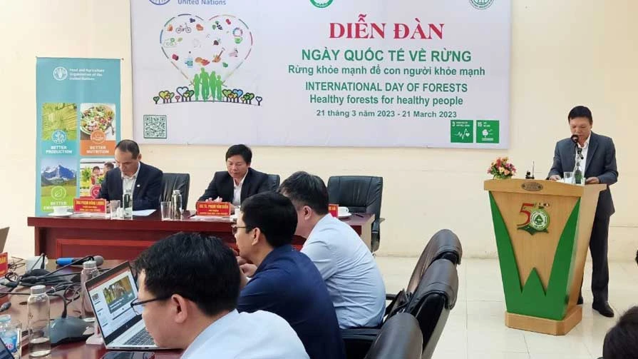 Đại diện FAO phát biểu