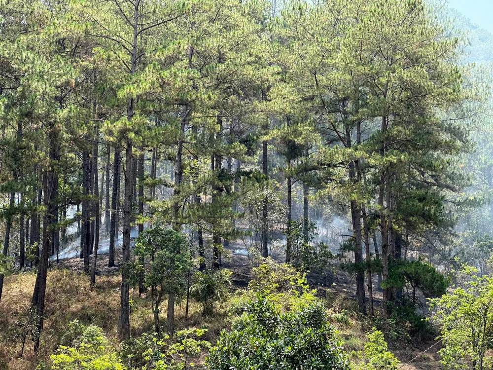 Một khu vực khác lửa mới bốc cháy sáng nay. Ảnh: ĐOÀN KIÊN