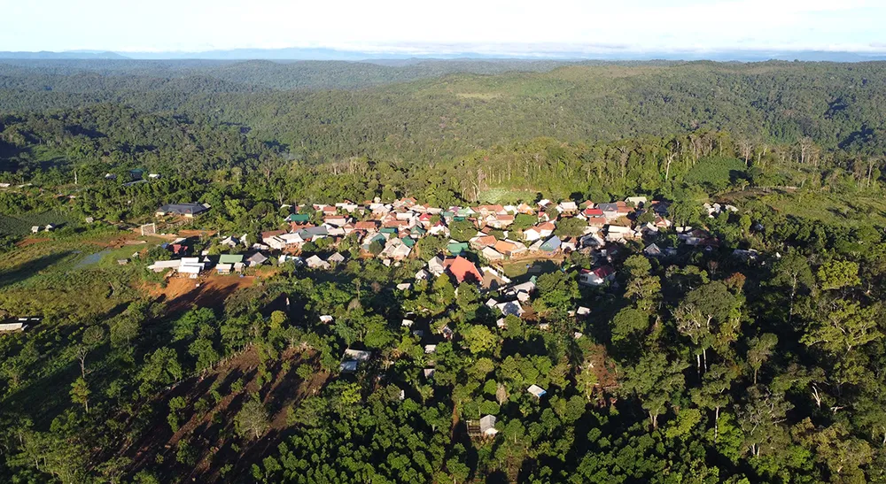 Người dân ở ven tán rừng đặc dụng An Toàn (huyện An Lão, Bình Bịnh) mong chờ kinh phí, dự án để tham gia trồng dược liệu cải thiện sinh kế. Ảnh: NGỌC OAI Người dân ở ven tán rừng đặc dụng An Toàn (huyện An Lão, Bình Bịnh) mong chờ kinh phí, dự án để tham gia trồng dược liệu cải thiện sinh kế. Ảnh: NGỌC OAI