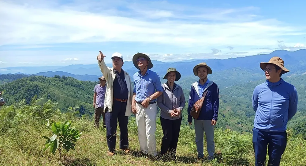 Các nhà khoa học về dược liệu đang khảo sát tiềm năng các “kỳ hoa dị thảo” ở đỉnh rừng Cà Đam, huyện Trà Bồng, tỉnh Quảng Ngãi. Ảnh: XUÂN HUYÊN Các nhà khoa học về dược liệu đang khảo sát tiềm năng các “kỳ hoa dị thảo” ở đỉnh rừng Cà Đam, huyện Trà Bồng, tỉnh Quảng Ngãi. Ảnh: XUÂN HUYÊN