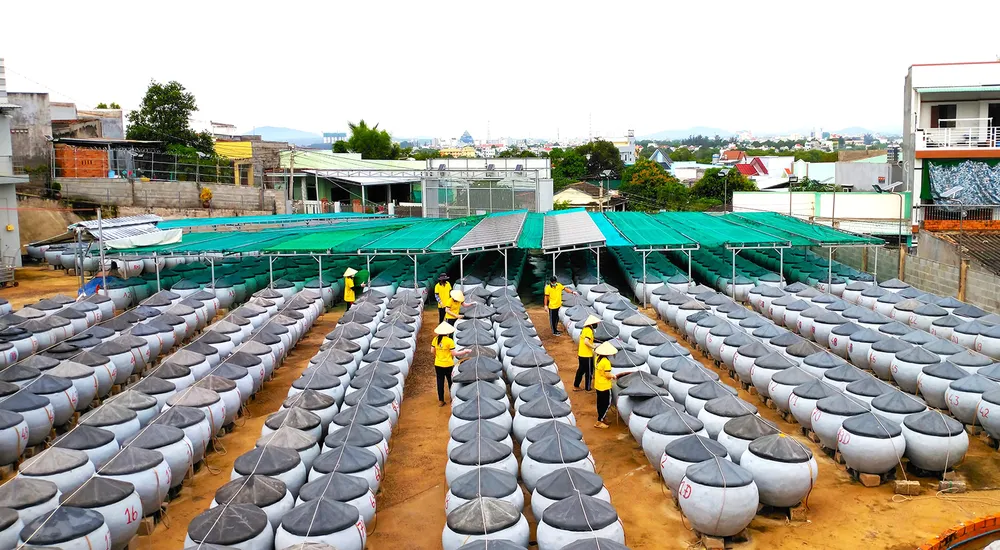 Lu khạp, thùng chứa mắm phơi nắng để mau chín