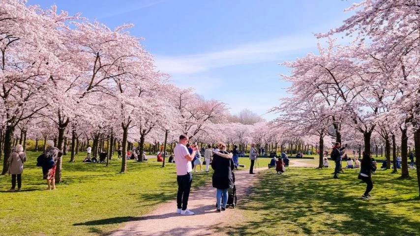 Amsterdamse Bos tại TP Amsterdam, một trong những công viên lớn nhất của châu Âu