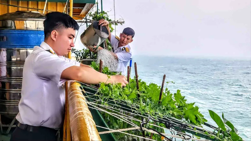 Sĩ quan quân y Nguyễn Trung Anh tự tay thụ phấn cho giàn khổ qua