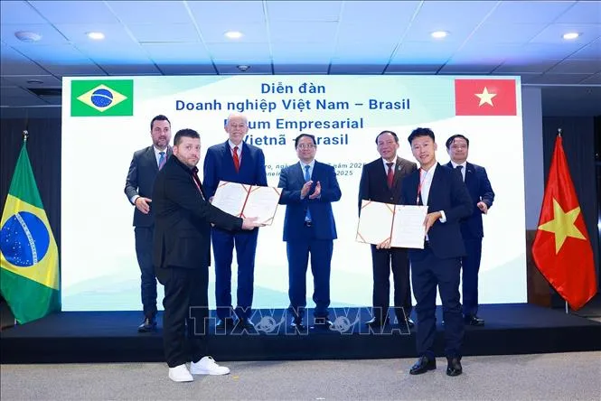 Thủ tướng Phạm Minh Chính chứng kiến trao Thoả thuận hợp tác về xuất khẩu lô hàng đầu tiên cá tra - basa và cá rô phi của Việt Nam sang Brazil. Ảnh: TTXVN brazil-6725-23.jpg