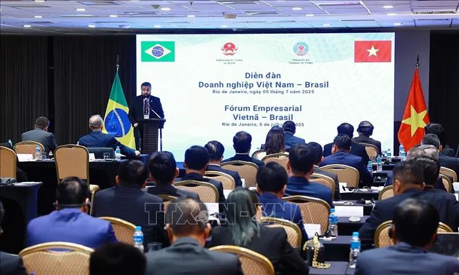 Diễn đàn doanh nghiệp Việt Nam - Brazil. Ảnh: TTXVN dien-dan-brazil-6725-12.jpg