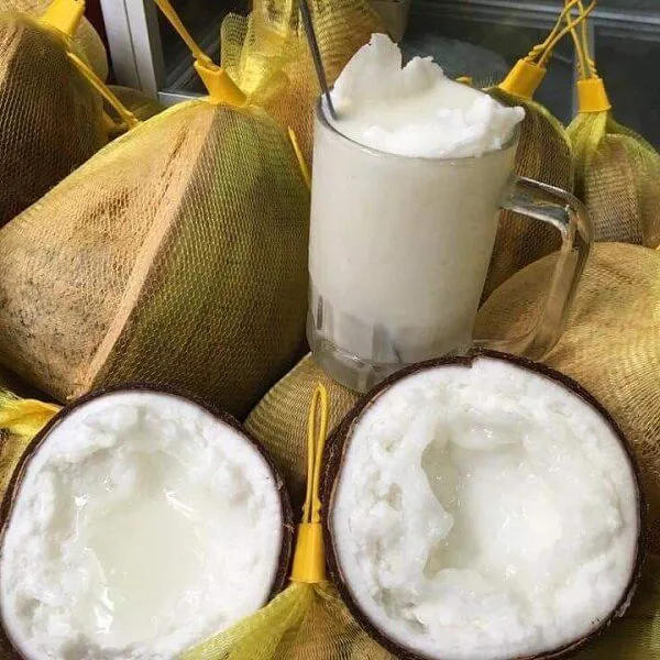 Dừa sáp Cầu Kè nổi tiếng cả nước CN4 nsbp.jpg