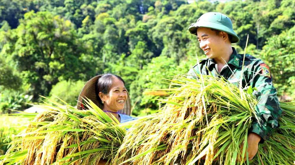 Bộ đội giúp bà con thu hoạch lúa chạy bão