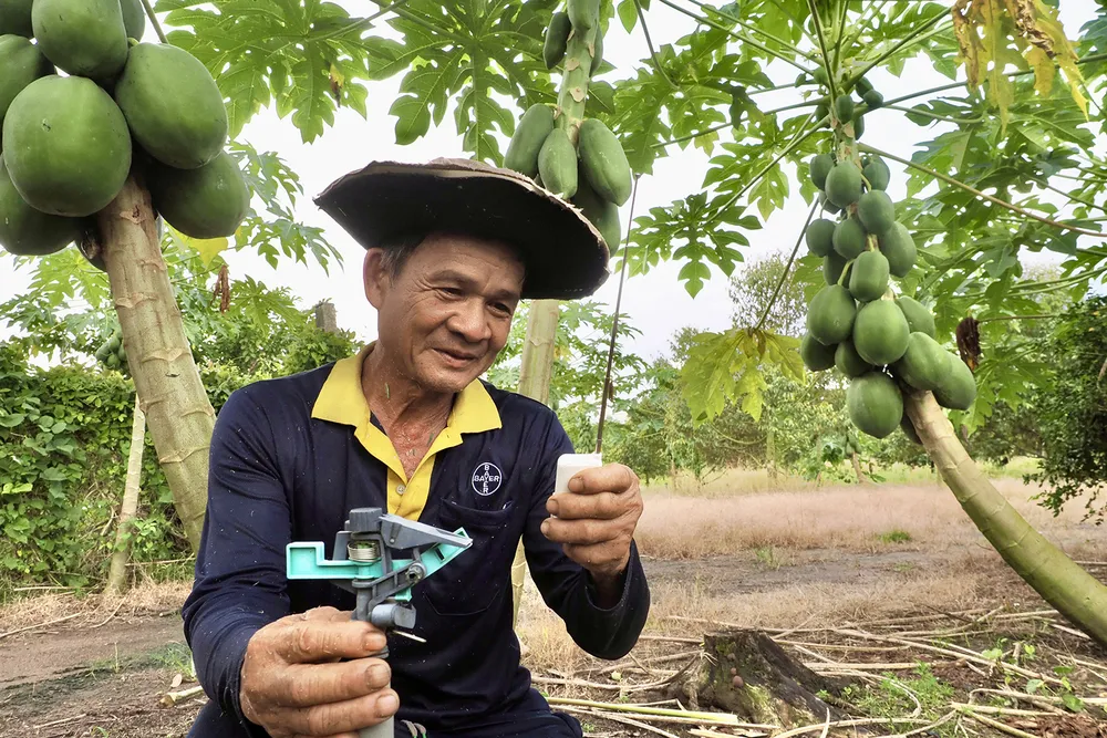 PSA Anh1-IMG_3135.jpg