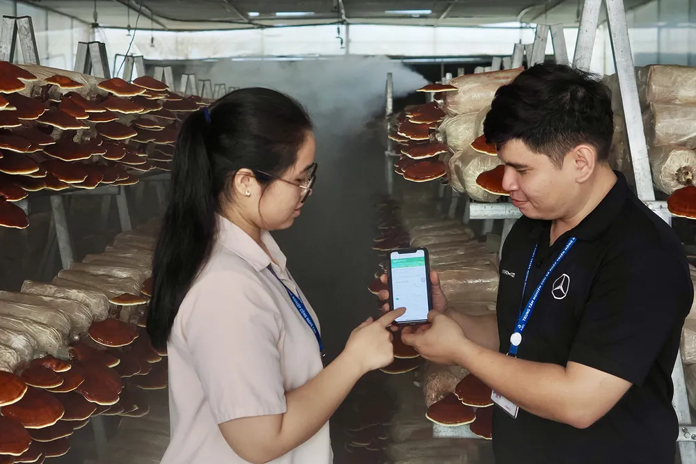 PSA Anh15-IMG_4046.jpg