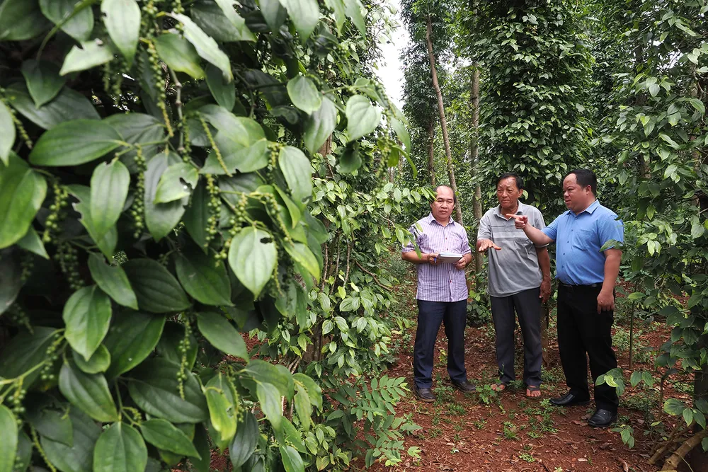 PSA Anh4-IMG_3436.jpg