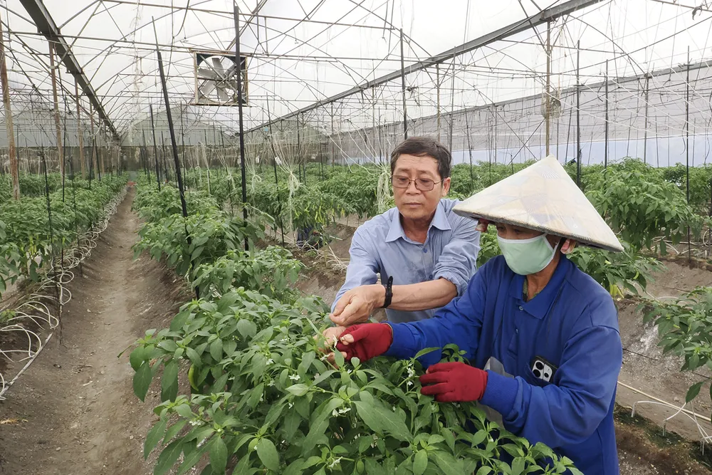 PSA Anh5-IMG_3484.jpg