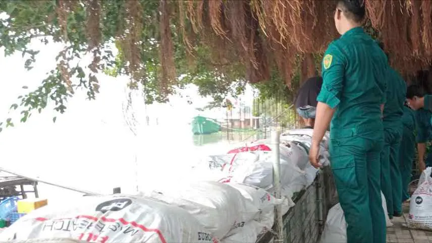 TPHCM khẩn trương triển khai các biện pháp ứng phó bão số 15